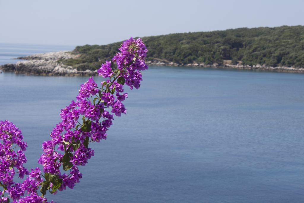 "Azzurra Apartments Molunat Kültér fotó