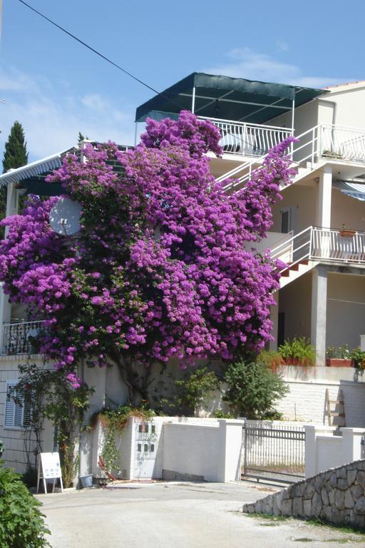 "Azzurra Apartments Molunat Kültér fotó